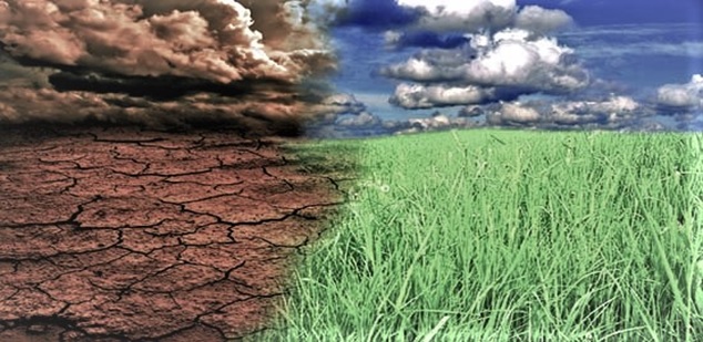 Tk 100cr proposed for climate change fund with green Bangladesh in focus